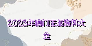澳门正版免费全年资料大全旅游团 第2页