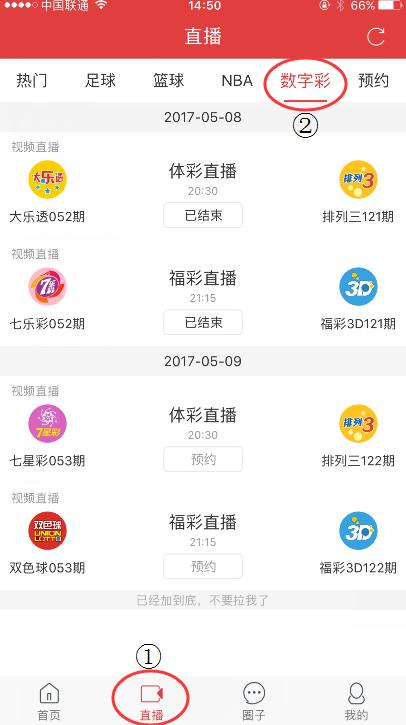 蝴蝶飞舞