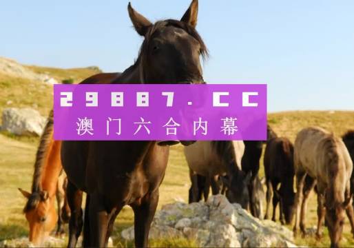 雾中仙子