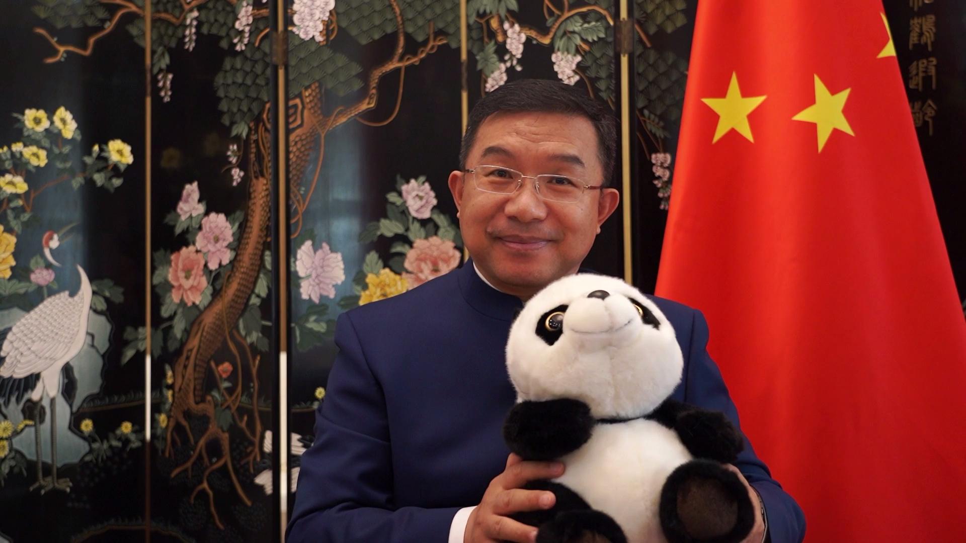 今晚买四不像的周剑大使，周剑大使揭秘，今晚四不像彩票购买指南