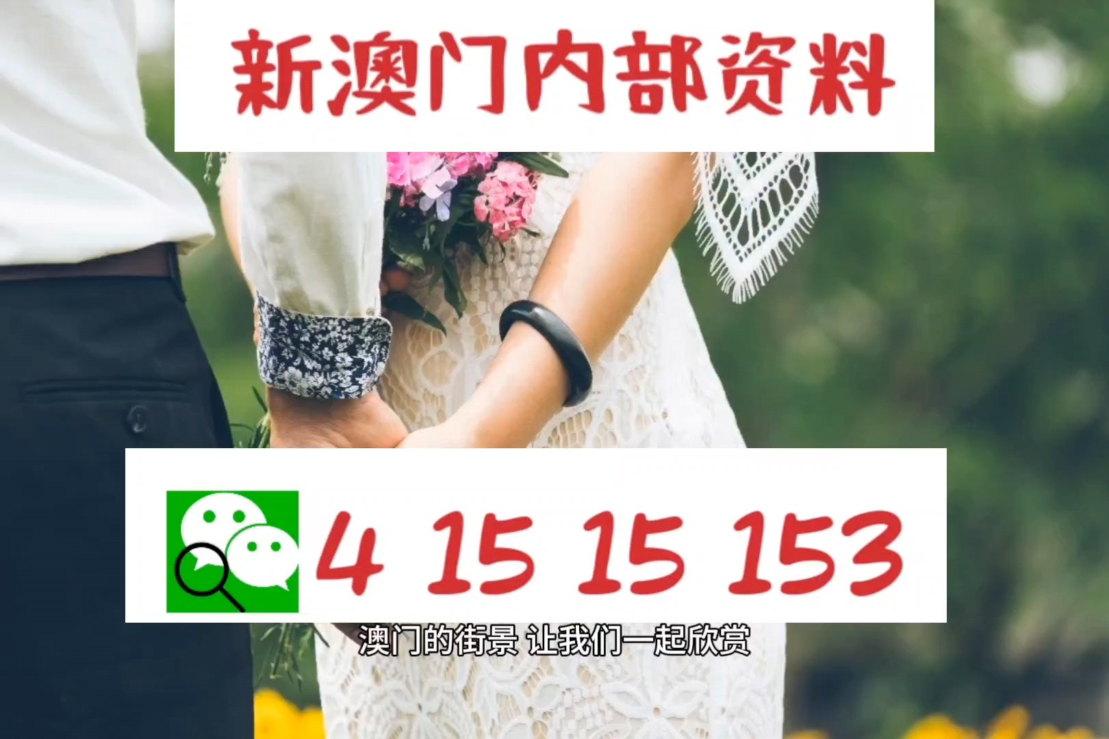 新澳门免费资料挂牌大全——探索最新资讯的旅程，澳门最新资讯挂牌大全，探索免费资料的旅程